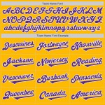 Maglia da baseball autentica Tone Two Viola-Bianco personalizzata Oro